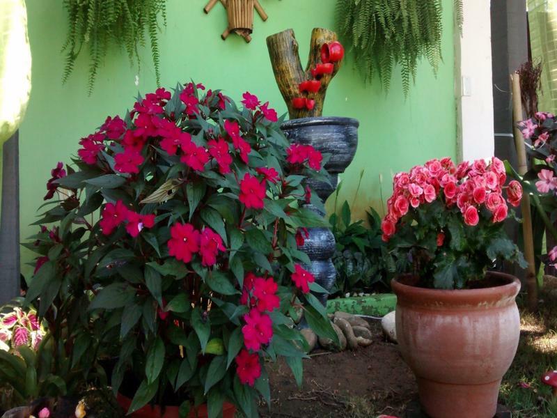 Pousada Flora Buzios Exterior foto